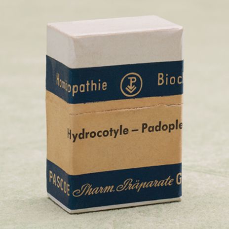 Historische Produktabbildung Hydrocotyle