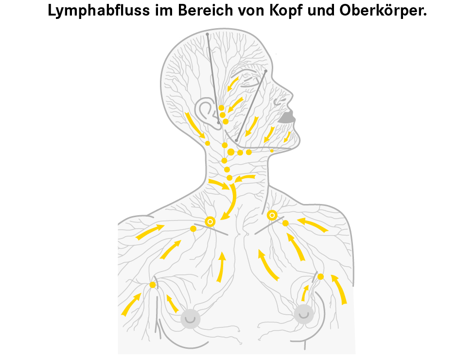 Lymphabfluss Kopf und Oberkörper